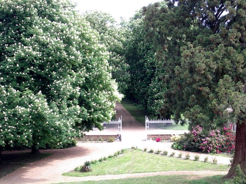 Chateau De Montbraye Parigné-lʼÉvêque Eksteriør billede